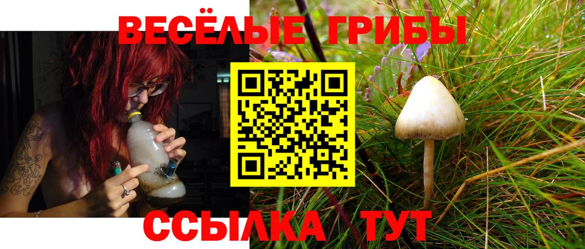 Галлюциногенные грибы Psilocybine cubensis  Вход с VPN  Галлюциногенные грибы Cubensis  Волоколамск 